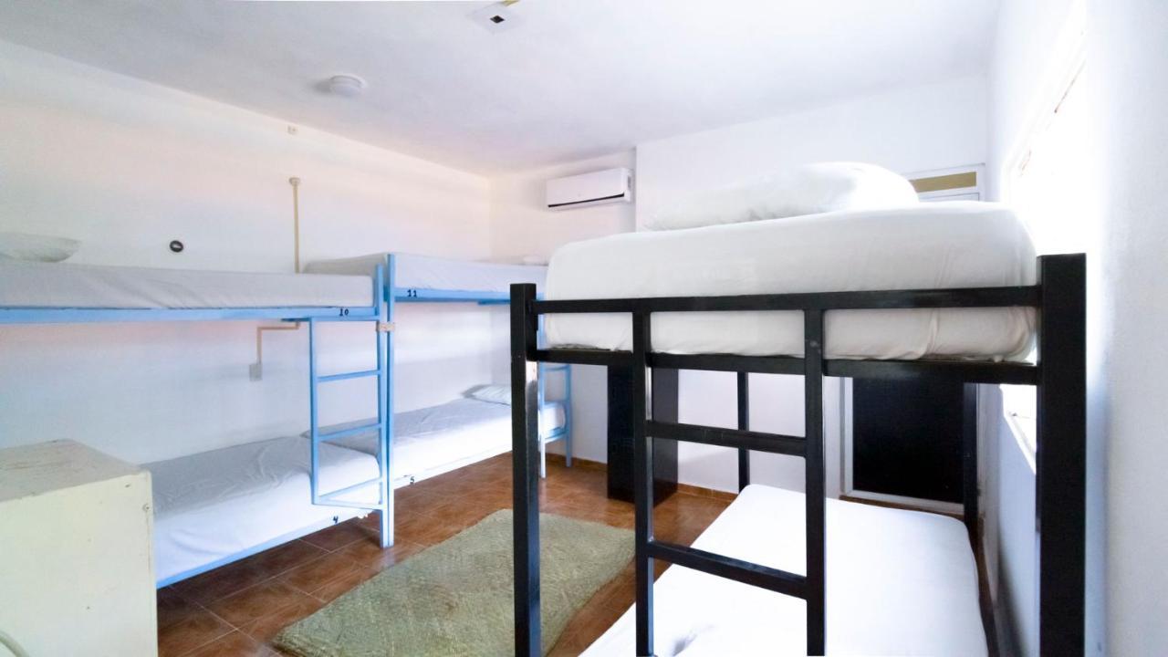 Weary Traveler Hostel ตูลุม ห้อง รูปภาพ