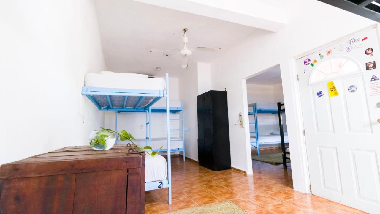 Weary Traveler Hostel ตูลุม ห้อง รูปภาพ